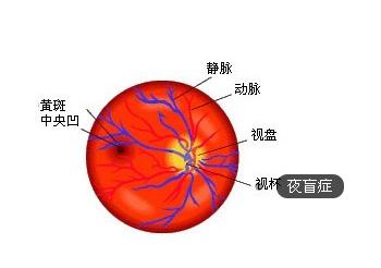 夜盲症发生的原因是 夜盲症 夜盲症-诊断鉴别，夜盲症-发生原因