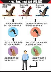 h7n7 H7N7 H7N7-中国H7N7，H7N7-H7N7毒性