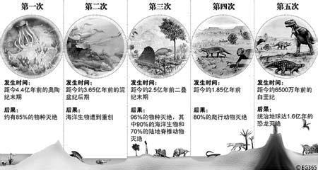 第五次生物大灭绝 第五次生物大灭绝 第五次生物大灭绝-概述，第五次生物大灭绝-白