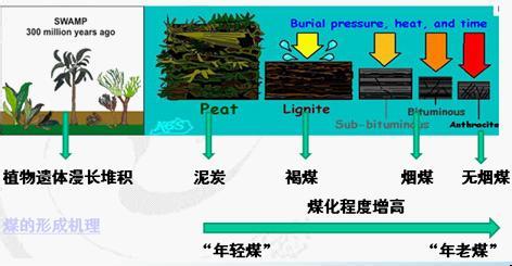 煤焦油分类 煤焦 煤焦-简介，煤焦-分类