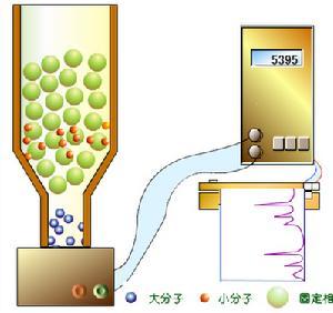 分子筛原理 分子筛效应