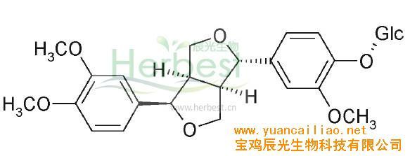 连翘苷 连翘苷 连翘苷-基本内容