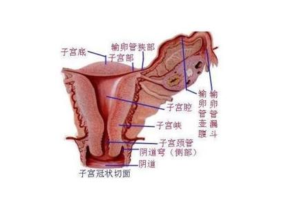 流行病学病因 盆腔脓肿 盆腔脓肿-流行病学，盆腔脓肿-病因