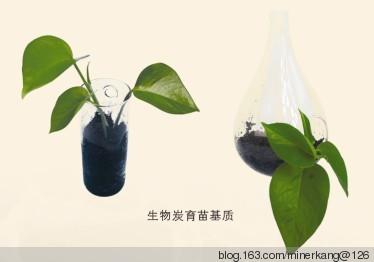 生物最新研究成果2016 生物炭 生物炭-简介，生物炭-研究成果