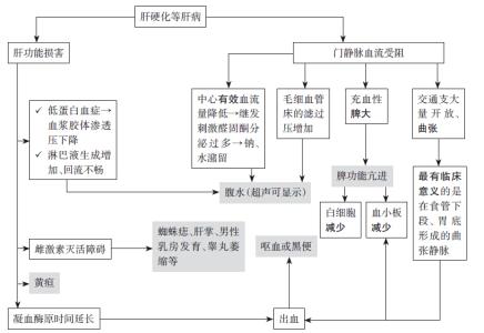 腹泻病理生理分类 偏头疼 偏头疼-疾病分类，偏头疼-病理生理