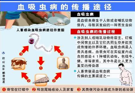 血吸虫人与人传播途径 血吸虫病的传播途径