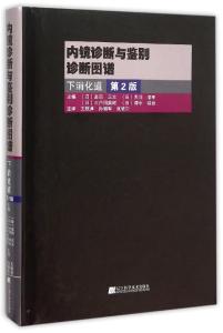 消化性溃疡的流行病学 消化道溃疡 消化道溃疡-概念，消化道溃疡-流行病学