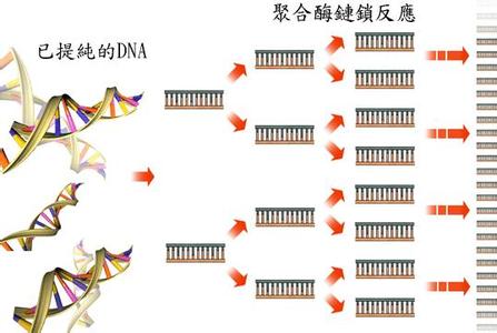 聚合反应分类 聚合反应 聚合反应-简介，聚合反应-分类