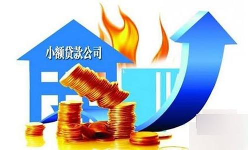 小额信贷特征 信贷 信贷-概念，信贷-特征