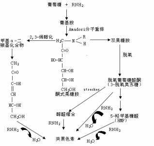 美拉德反应机理 美拉德反应 美拉德反应-基本简介，美拉德反应-反应机理