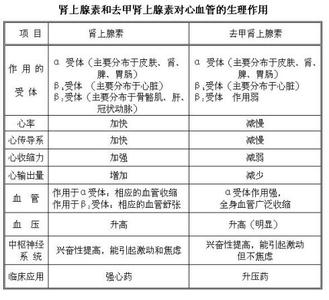 多巴胺和肾上腺素区别 去甲肾上腺素 去甲肾上腺素-概述，去甲肾上腺素-区别