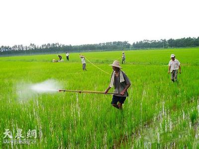 农业生产方式有几种 农业生产方式