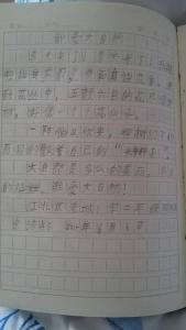 我爱大自然作文300字 我爱大自然作文300字（4篇）