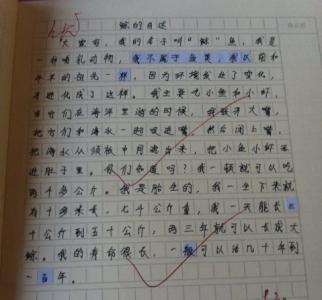 鲸的自述五年级短文 关于鲸的自述小短文