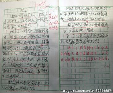 我喜欢桂花作文400字 桂花作文400字