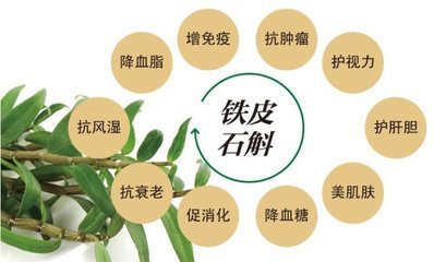 铁皮石斛功效与作用 铁皮石斛的功效与作用有哪些