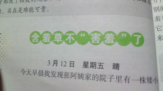 观察含羞草日记 观察日记一则――含羞草600-700字