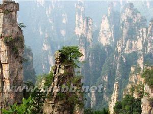 张家界武陵源风景区 武陵源风景区 武陵源风景区-概述，武陵源风景区-基本信息