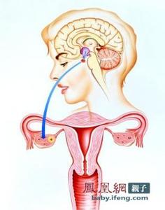 bbc两性奥秘下载 《两性奥秘》 《两性奥秘》-简介，《两性奥秘》-第一集