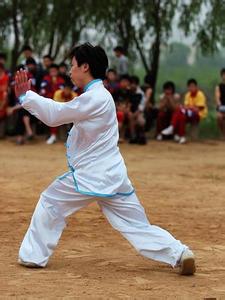 沧州武术之乡 沧州武术 沧州武术-简介，沧州武术-武术之乡