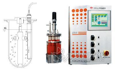 动物细胞培养反应器 动物细胞培养反应器 动物细胞培养反应器-分类及结构特点，动物细