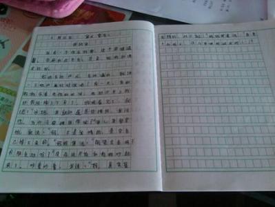 我的家作文200 我的家作文100字