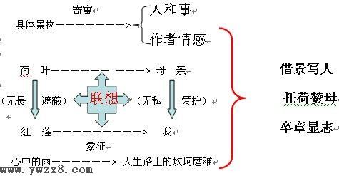 荷叶母亲原文 《荷叶母亲》 《荷叶母亲》-原文，《荷叶母亲》-词语注释