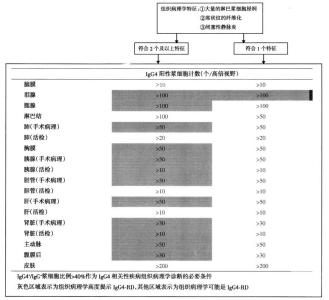 igg4相关性疾病 IgG4相关性疾病 IgG4相关性疾病-定义，IgG4相关性疾病-历史