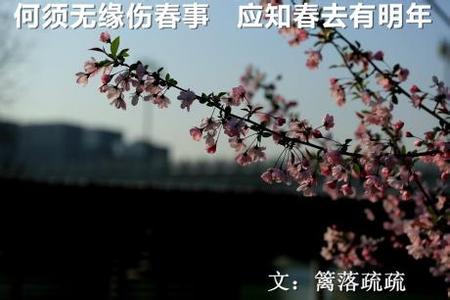 既然无缘何须誓言 何须无缘伤春事，应知春去有明年