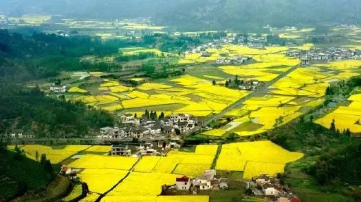 永胜县大安乡概况 永胜县 永胜县-县城简介，永胜县-县情概况