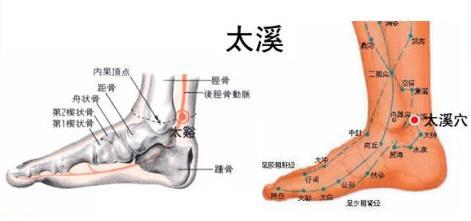 风热感冒病因 风热咳嗽 风热咳嗽-证候分析，风热咳嗽-病因