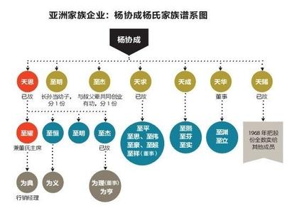 中国家族企业发展报告 家族企业 家族企业-发展