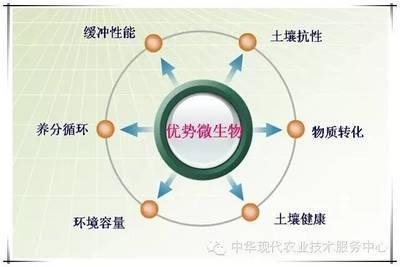 土壤修复现状 土壤修复 土壤修复-概述，土壤修复-现状