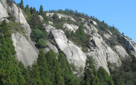 温州大罗山茶山景区 大罗山 大罗山-主要景区，大罗山-生态现状