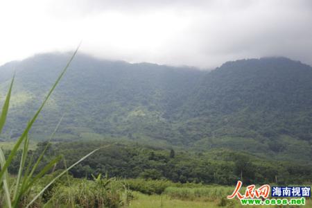 鹦哥岭自然保护区 鹦哥岭 鹦哥岭-简介，鹦哥岭-鹦哥岭保护区建设的重要性