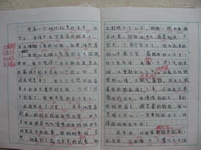 忘不了的人作文400字 忘不了的人作文