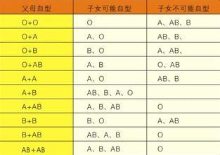 ab型rh阳性血型 Rh阳性血型 Rh阳性血型-Rh血型的分类，Rh阳性血型-Rh血型的分布