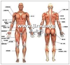 肌肉跳动是艾滋病 肌肉跳动是怎么回事