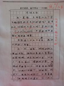 心得体会作文250个字 心得体会作文300字