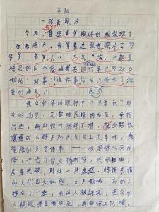 一张旧照片作文500字 一张旧照片作文500