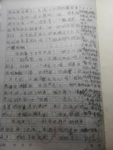 爱的故事作文600字 爱的故事作文500字