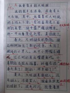 20年后回故乡作文300字 20年后的家乡300字作文