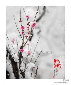 形容雪花飘落的诗句 一朵雪花落诗间