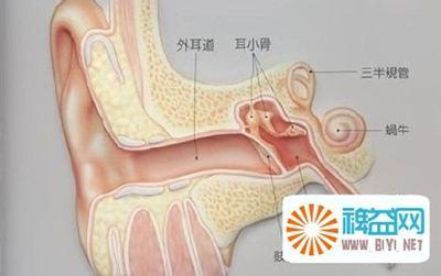 耳朵进水了一直蒙蒙的 游泳耳朵进水出不来怎么办