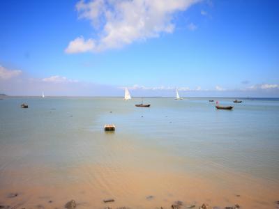 在海一方图片 在海一方