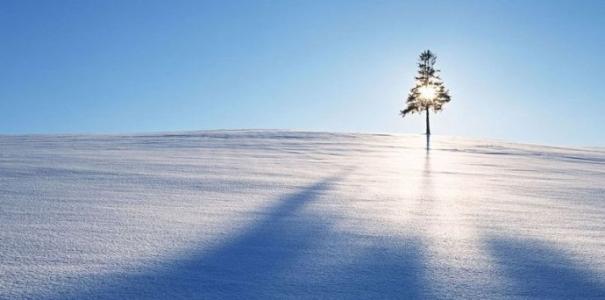 小说太阳雪 太阳雪