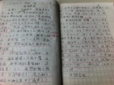 瞧我这一家作文400字 瞧这一家人作文