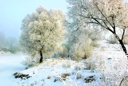 盼雪 阅读答案 盼雪