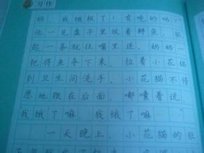 人生哲理作文600字 哲学作文