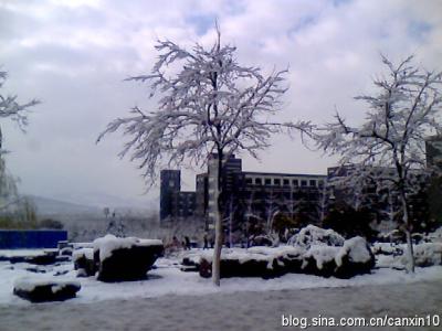 那一年的下雪歌词 那一年，济南的雪